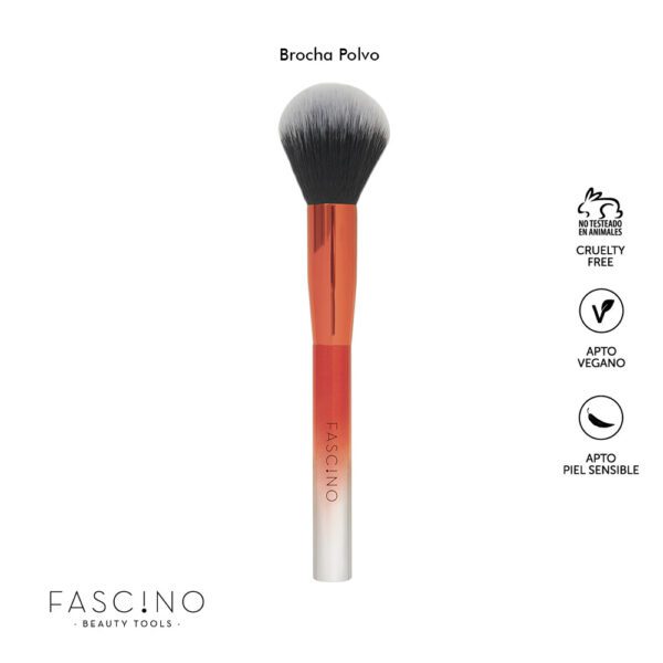 FASCINO SET DE BROCHAS RAINBOW - Imagen 6